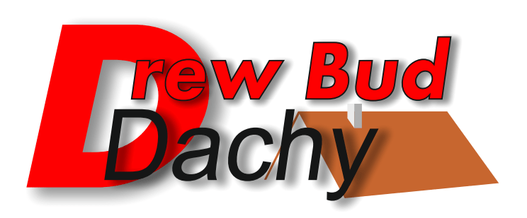 Dachy Basinow logo