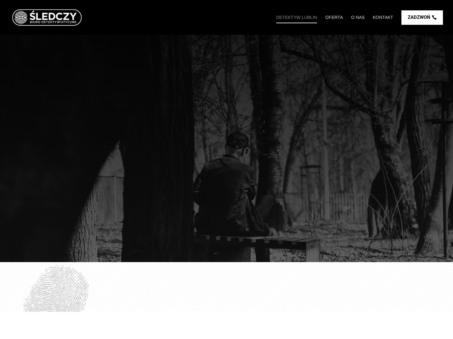 CreateWebsite — Detektyw Lublin (Usługi detektywistyczne)